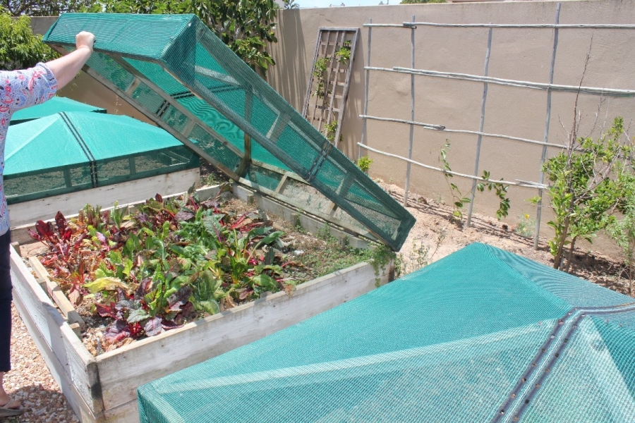 4 Bedroom Property for Sale in Myburgh Park Western Cape